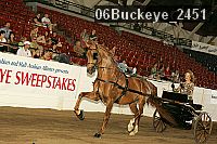 06buckeye_2451 proof