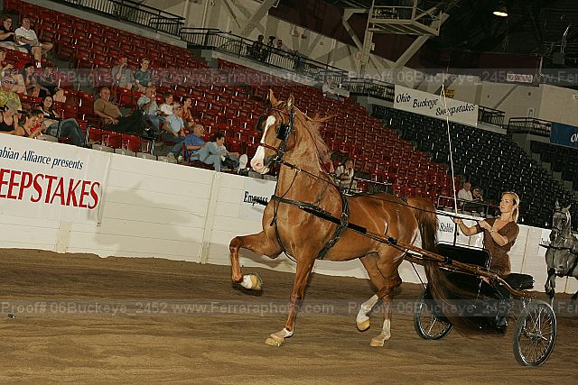 Proof 06buckeye_2452