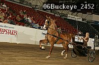 06buckeye_2452 proof