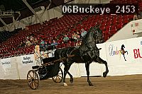 06buckeye_2453 proof