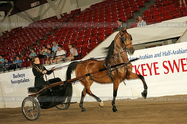 Proof 06buckeye_2454