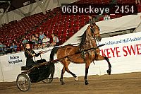 06buckeye_2454 proof