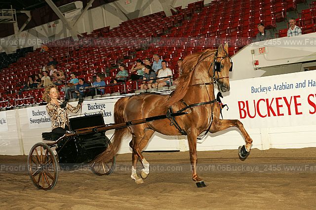 Proof 06buckeye_2455