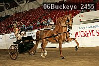 06buckeye_2455 proof