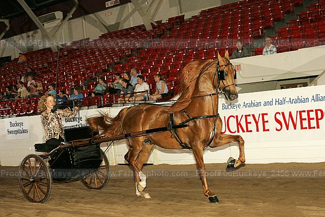 Proof 06buckeye_2456