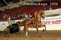06buckeye_2456 proof