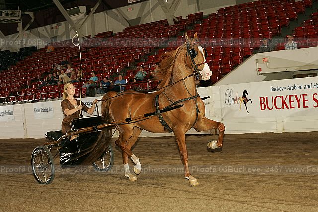 Proof 06buckeye_2457
