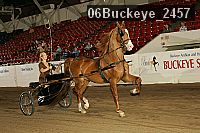 06buckeye_2457 proof