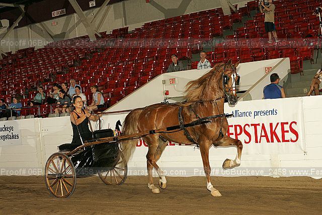 Proof 06buckeye_2458