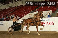 06buckeye_2458 proof