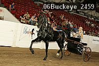 06buckeye_2459 proof