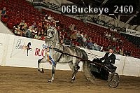 06buckeye_2460 proof