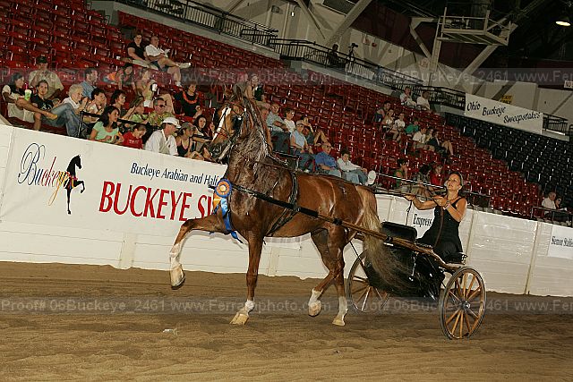 Proof 06buckeye_2461