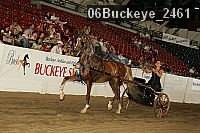 06buckeye_2461 proof