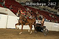 06buckeye_2462 proof