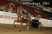 06buckeye_2463 proof