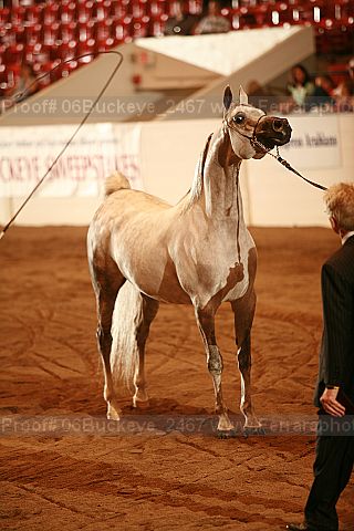 Proof 06buckeye_2467