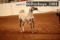 06buckeye_2484 proof