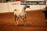 06buckeye_2485 proof