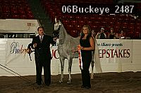 06buckeye_2487 proof