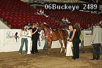 06buckeye_2489 proof