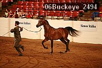 06buckeye_2494 proof