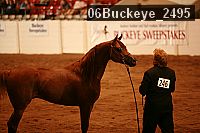 06buckeye_2495 proof