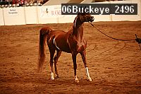 06buckeye_2496 proof