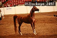 06buckeye_2497 proof