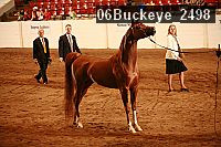 06buckeye_2498 proof