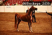 06buckeye_2499 proof