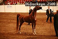 06buckeye_2500 proof
