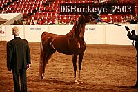 06buckeye_2503 proof