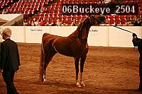 06buckeye_2504 proof