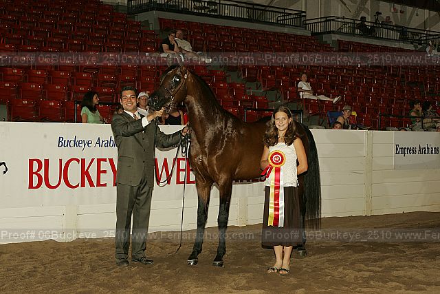 Proof 06buckeye_2510