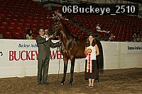 06buckeye_2510 proof
