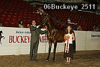 06buckeye_2511 proof