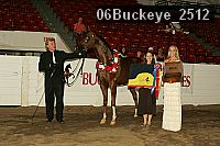 06buckeye_2512 proof