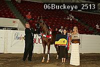 06buckeye_2513 proof