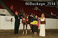 06buckeye_2514 proof