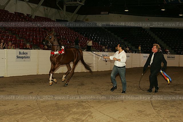 Proof 06buckeye_2522