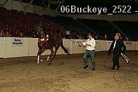 06buckeye_2522 proof