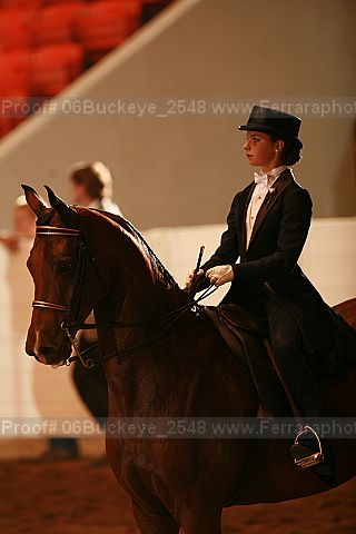 Proof 06buckeye_2548