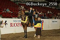 06buckeye_2550 proof