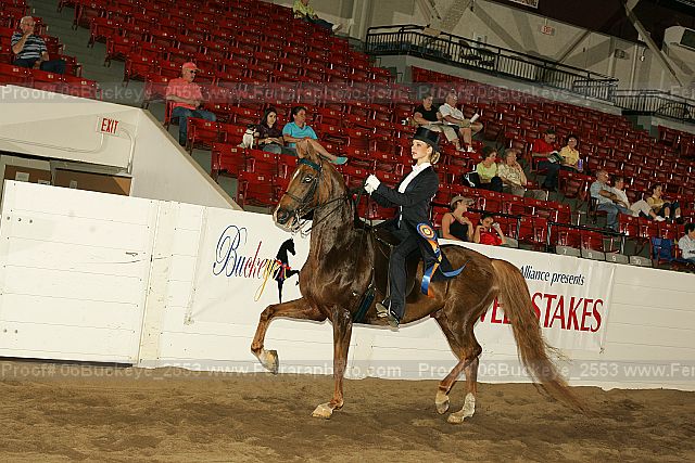 Proof 06buckeye_2553