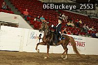 06buckeye_2553 proof