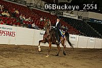 06buckeye_2554 proof