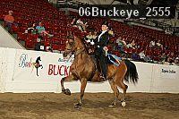 06buckeye_2555 proof