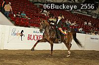 06buckeye_2556 proof