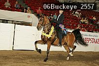 06buckeye_2557 proof